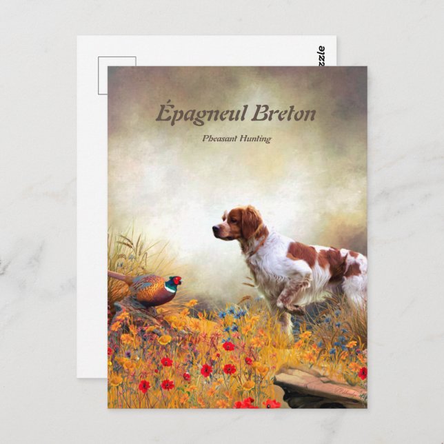 The Brittany Spaniels , Bird Hunting Season Postcard (Front/Back)