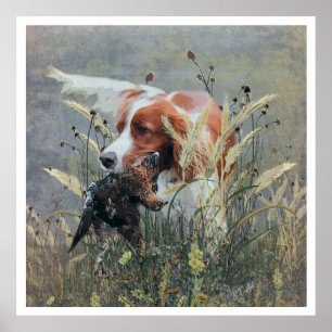 The Brittany Spaniels , Bird Hunting Season Poster