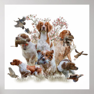 The Brittany Spaniels , Bird Hunting Season Poster