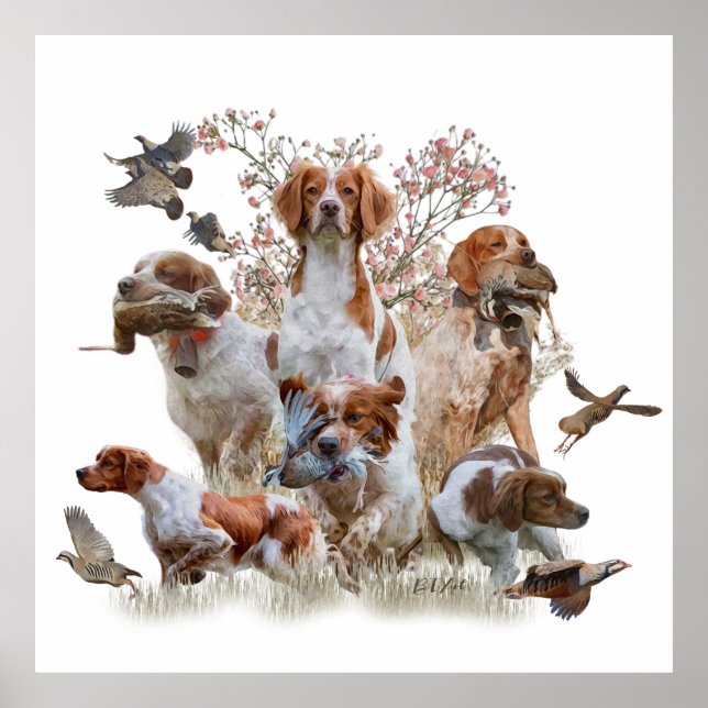 The Brittany Spaniels , Bird Hunting Season Poster (Front)