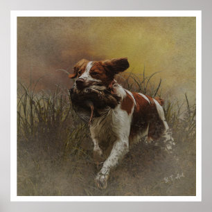 The Brittany Spaniels , Bird Hunting Season Poster