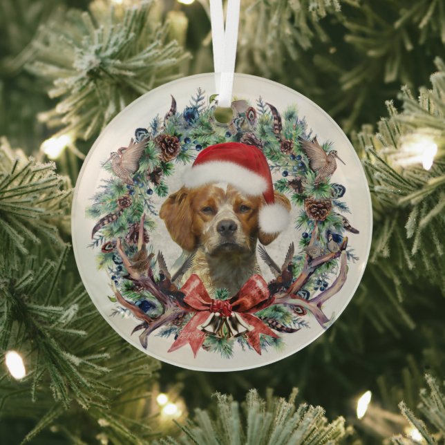 The Brittany Spaniels , Christmas  Glass Tree Decoration (Insitu)