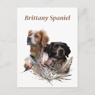 The Brittany Spaniels,  French Brittany, Bird dog, Postcard