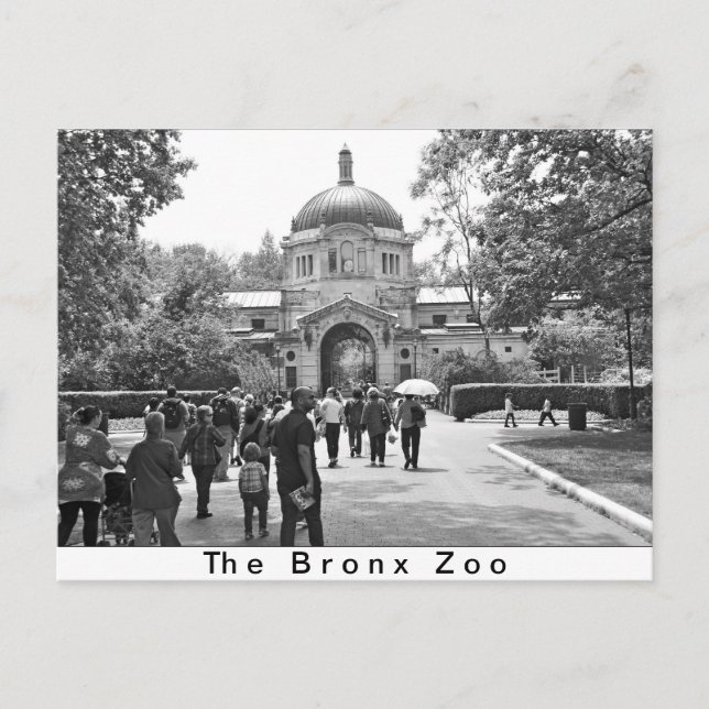 The Bronx Zoo Entrance Postcard (Front)