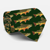 The Brook Trout for Fishermen and Ichthyologist