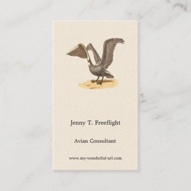 The Brown Pelican (Pelecanus occidentalis) NY Bird Business Card (Front)