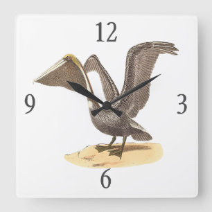 The Brown Pelican (Pelecanus occidentalis) NY Bird Square Wall Clock
