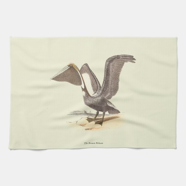 The Brown Pelican (Pelecanus occidentalis) NY Bird Tea Towel (Horizontal)