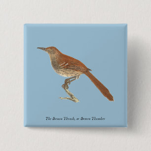 The Brown Thrush or Brown Thrasher, New York Birds 15 Cm Square Badge