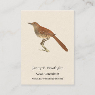 The Brown Thrush or Brown Thrasher, New York Birds Business Card