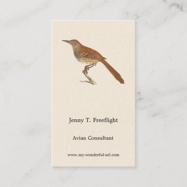 The Brown Thrush or Brown Thrasher, New York Birds Business Card (Front)