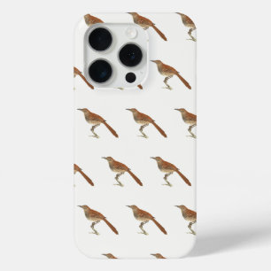The Brown Thrush or Brown Thrasher, New York Birds iPhone 15 Pro Case