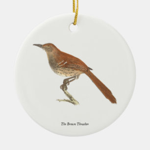 The Brown Thrush or Brown Thrasher, New York Birds Ceramic Ornament