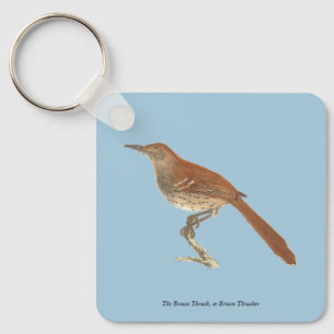 The Brown Thrush or Brown Thrasher, New York Birds Key Ring