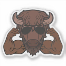The “BUFFalo”