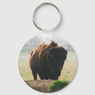 The Buffalo Collection II Key Ring