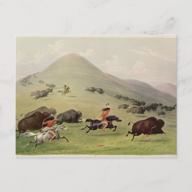The Buffalo Hunt, c.1832 Postcard (Front)