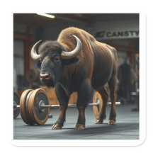The “BUFFalo”