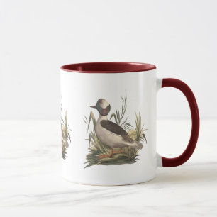 The Buffle-headed Duck	(Fuligula albeola) Mug