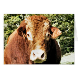 THE BULL CARD
