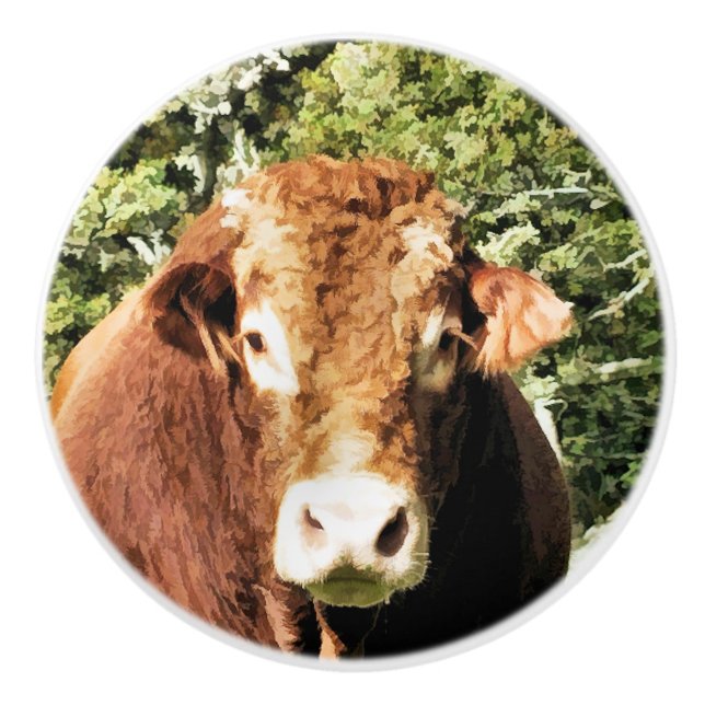 THE BULL CERAMIC KNOB (Front)