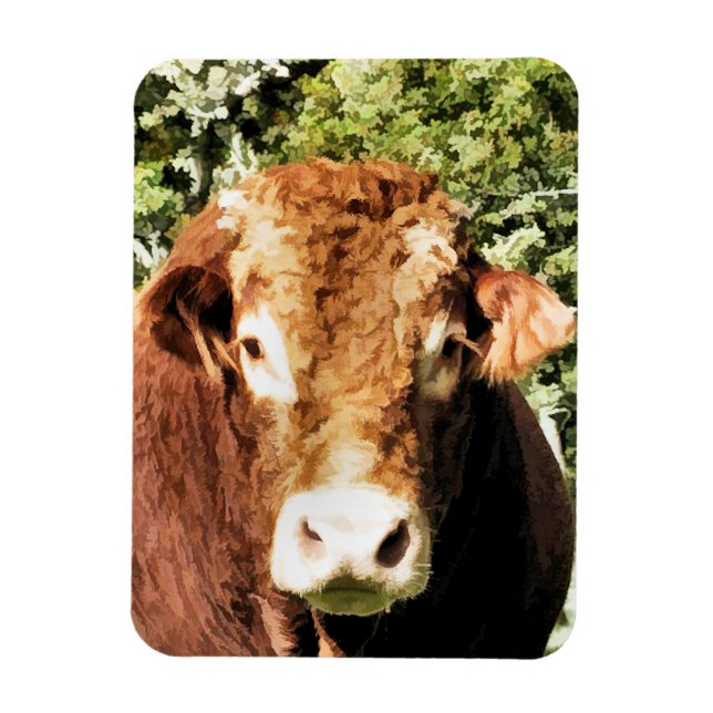 THE BULL MAGNET (Vertical)