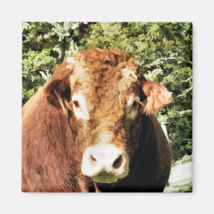 THE BULL MAGNET
