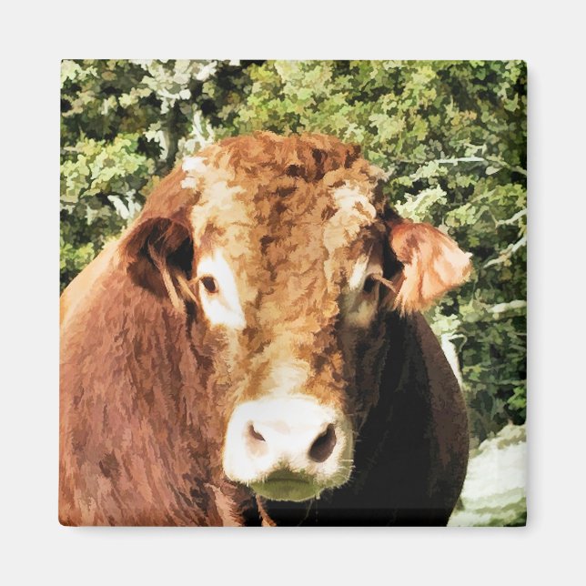 THE BULL MAGNET (Front)