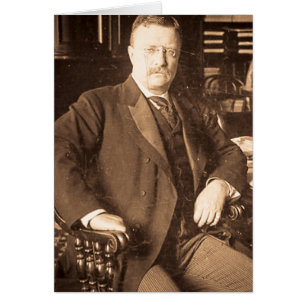 The Bull Moose Teddy Roosevelt Vintage Portrait