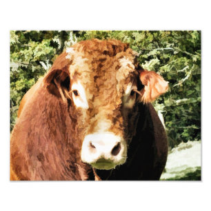 THE BULL PHOTO PRINT