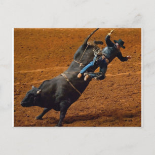 The Bull Rider Postcard