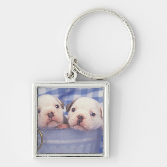 The Bulldog, often called the English Bulldog, Key Ring (Front)