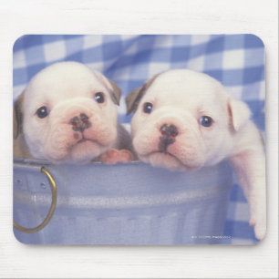 The Bulldog, often called the English Bulldog, Mouse Pad