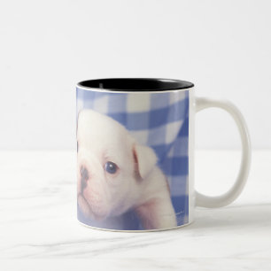 The Bulldog, often called the English Bulldog, Two-Tone Coffee Mug
