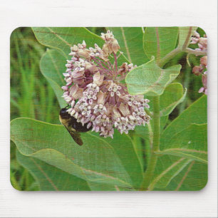 The Bumble Bee on The Milkweed Mouse Pad