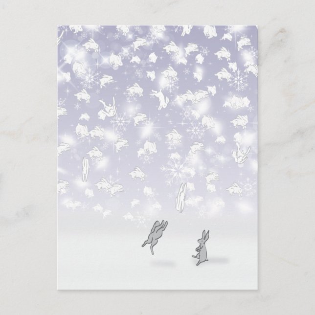 THE BUNNIES OF SOLDOTNA, ALASKA POSTCARD (Front)