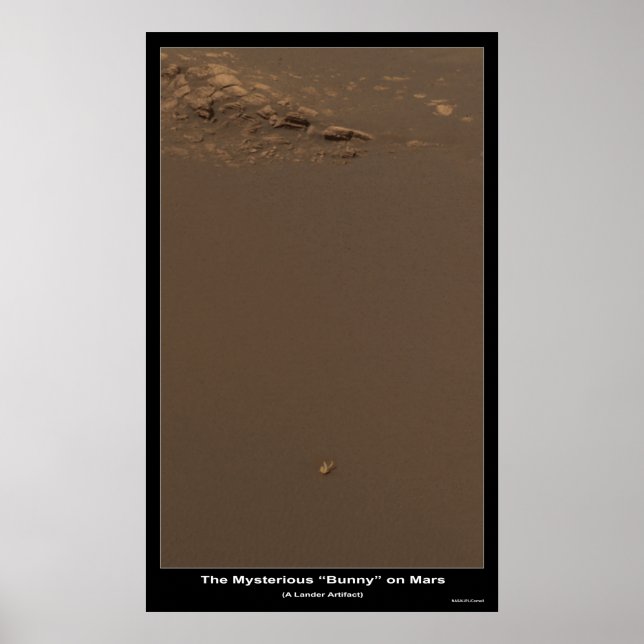 The Bunny On Mars â€“ What is it? Poster (Front)