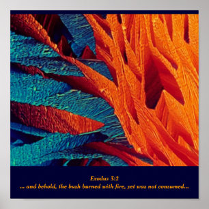 The Burning Bush Abstract Poster