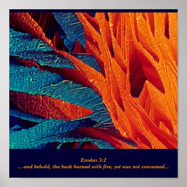 The Burning Bush Abstract Poster (Front)
