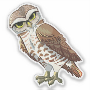 The Burrowing Owl Custom-Cut Vinyl Sticker
