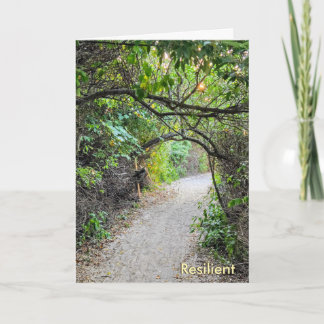 The Busy Busy Bee Collection – Resilient Card