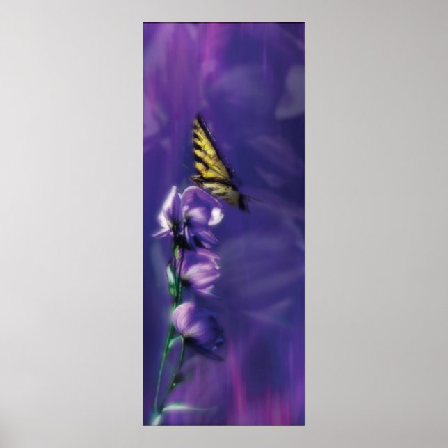 the butterfly poster (Front)