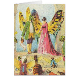The Butterfly's Ball