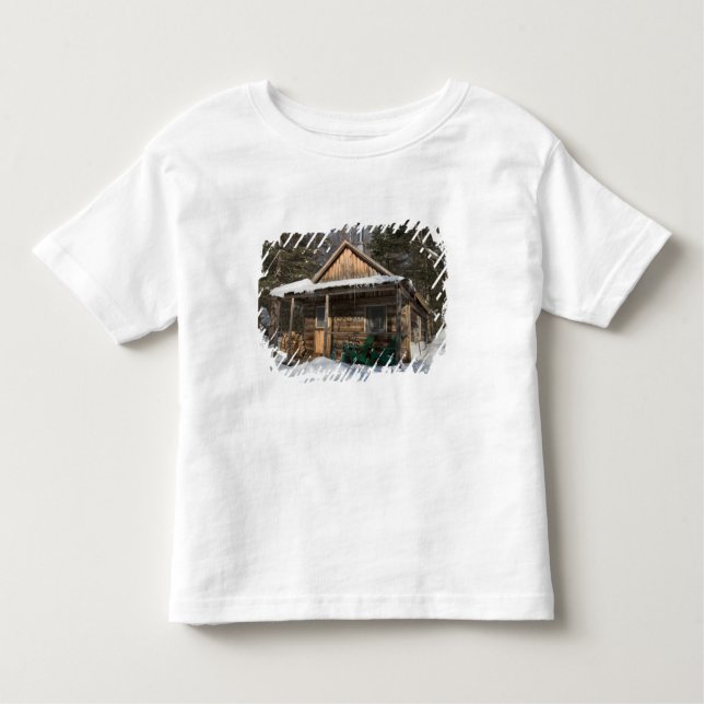 The cabins at the AMC's Little Lyford Pond Toddler T-Shirt (Front)