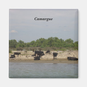 The Camargue - Magnet