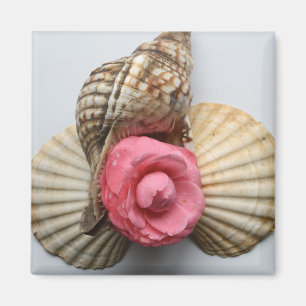 The Camellia And The Shells Magnet