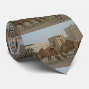 the camels of souq  waqif no1 tie