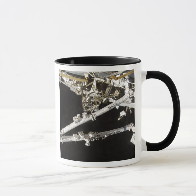 The Canadian-built space station Mug (Right)