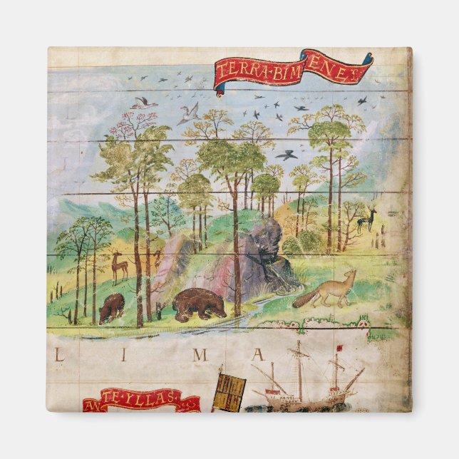 The Canadian Forest Magnet (Front)