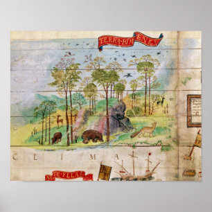 The Canadian Forest Poster